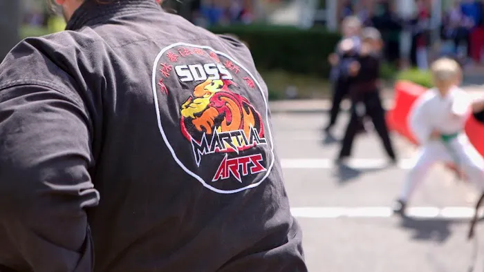 SDSS Martial Arts of West Hartford Picture 1