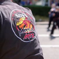 SDSS Martial Arts of West Hartford ico