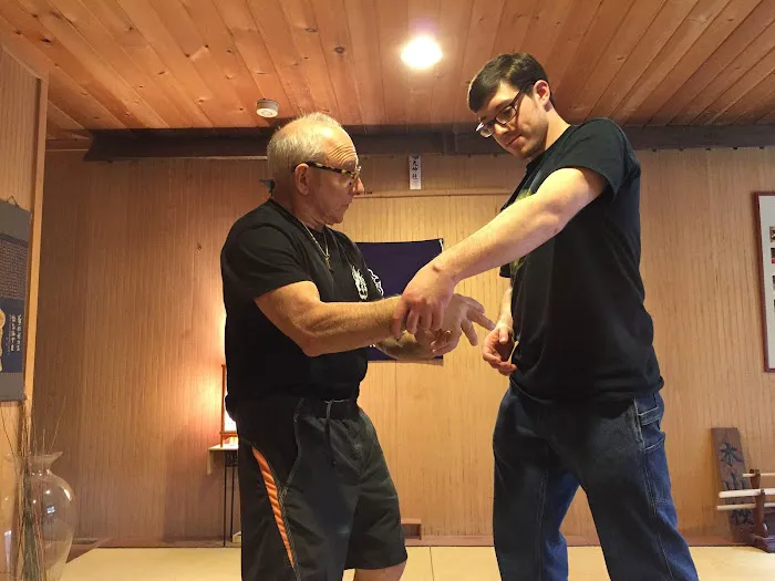 Hikari Dojo - Daito Ryu Aiki Jujutsu Picture 2