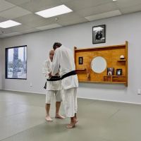Hikari Dojo - Daito Ryu Aiki Jujutsu ico