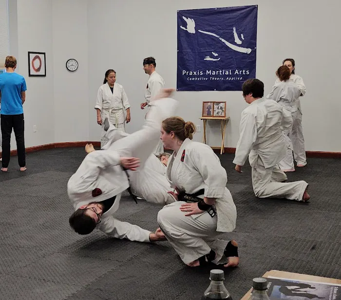 Hikari Dojo - Daito Ryu Aiki Jujutsu Picture 4