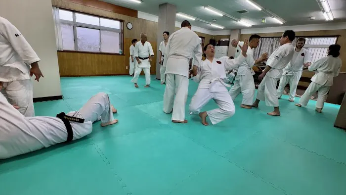 Hikari Dojo - Daito Ryu Aiki Jujutsu Picture 8