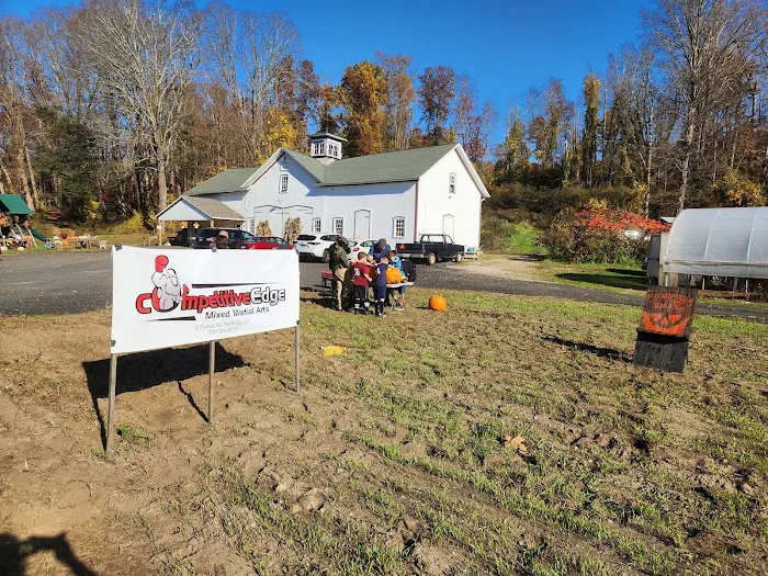 Competitive Edge Martial Arts Picture 5