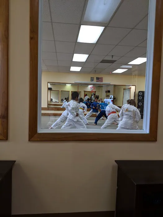 Villari's Martial Arts Centers - Windsor CT Picture 4