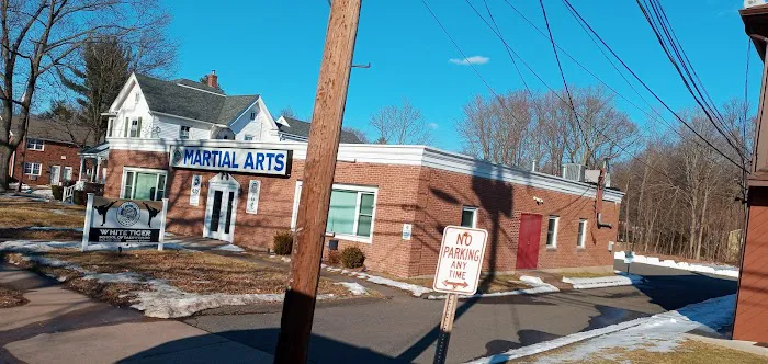 White Tiger School of Taekwon-do Picture 1