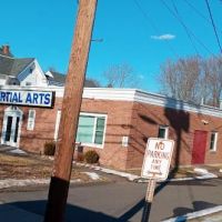 White Tiger School of Taekwon-do ico