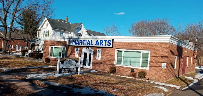 White Tiger School of Taekwon-do Picture 3