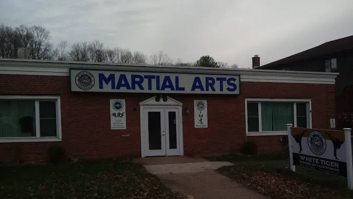 White Tiger School of Taekwon-do Picture 2