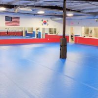 The Academy of Martial Arts & Personal Development ico