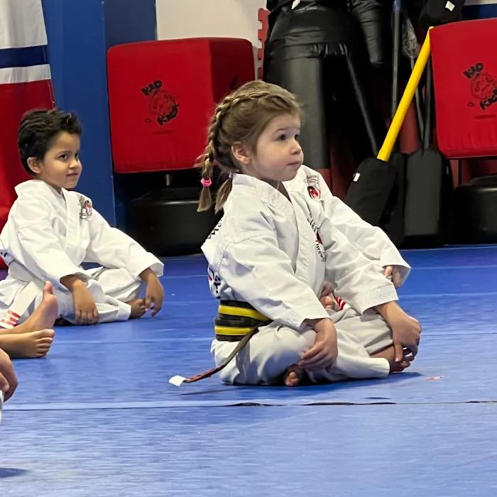 The Academy of Martial Arts & Personal Development Picture 10