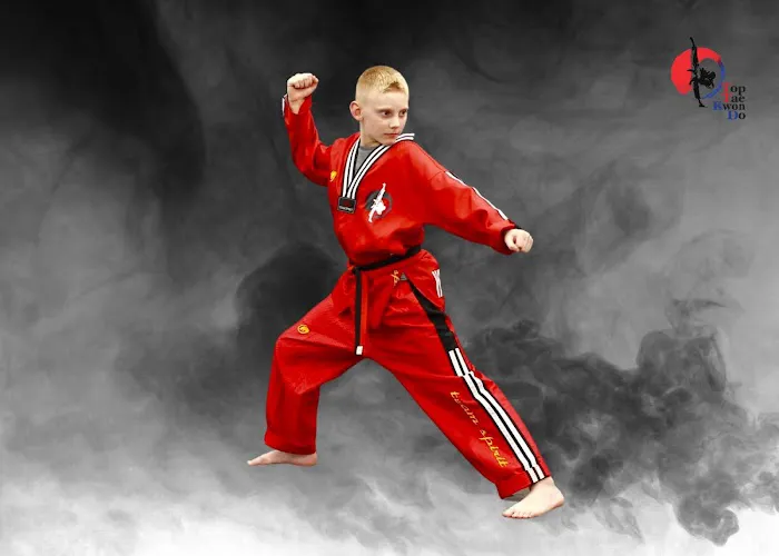 Top Taekwondo Academy Picture 10