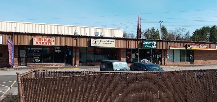 Hidden Dragon Karate Picture 2