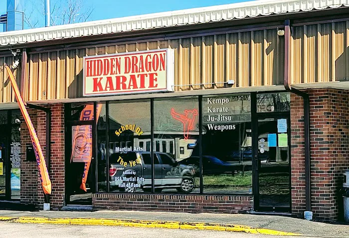 Hidden Dragon Karate Picture 6