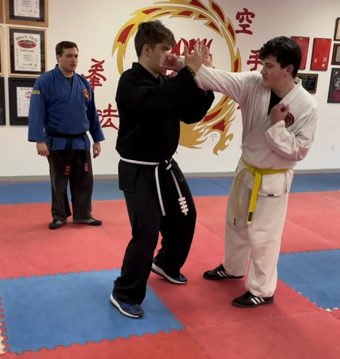 Hidden Dragon Karate Picture 7