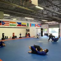 Styles United Transformative Martial Arts ico