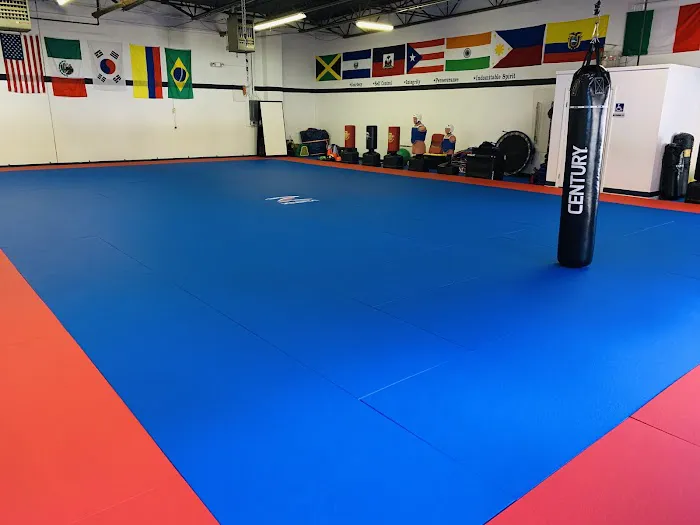 Styles United Transformative Martial Arts Picture 2