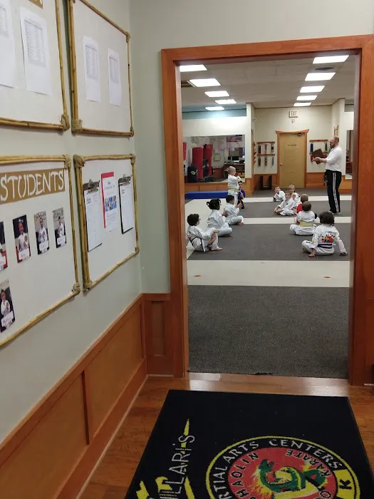 Villari's Martial Arts Centers - Newington CT Picture 2
