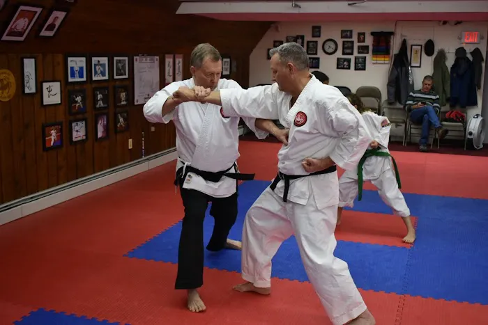 Kaze-Kai Karate Picture 2