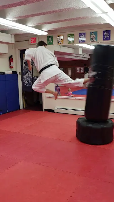 Kaze-Kai Karate Picture 8