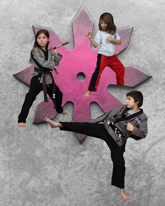 Integrity Martial Arts Picture 2