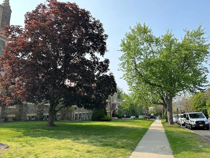 Academy of Tae Kwon Do ( Park’s Before and After Care ) Picture 9