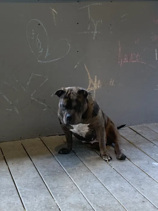 Academy of Tae Kwon Do Picture 1