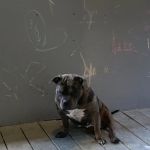 Academy of Tae Kwon Do