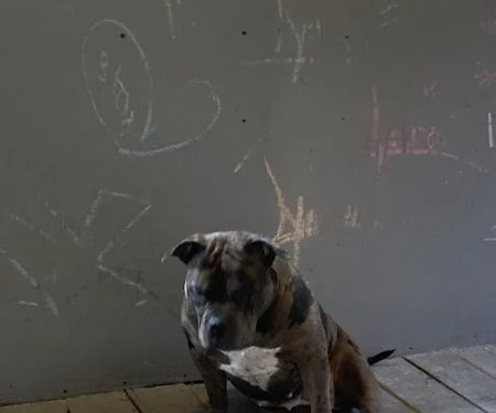 Academy of Tae Kwon Do