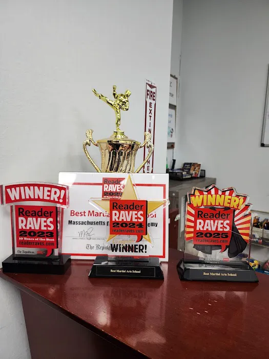 Massachusetts Taekwondo Academy Picture 3