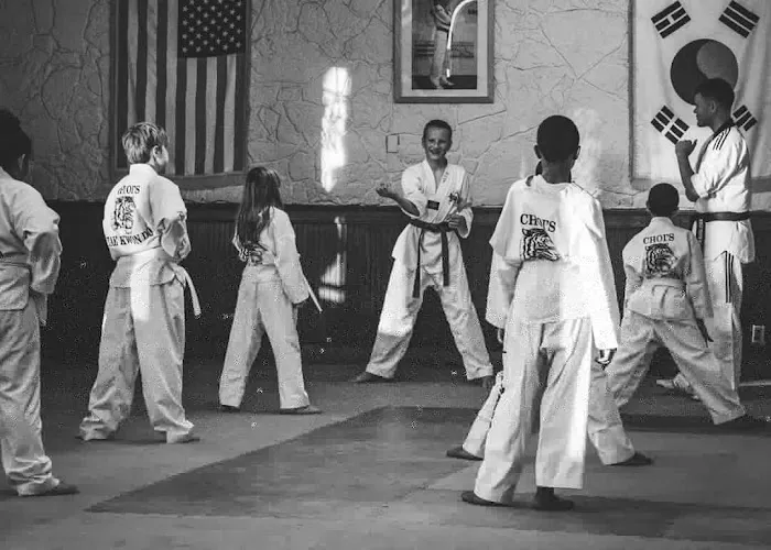 Choi's Tae Kwon DO Picture 4