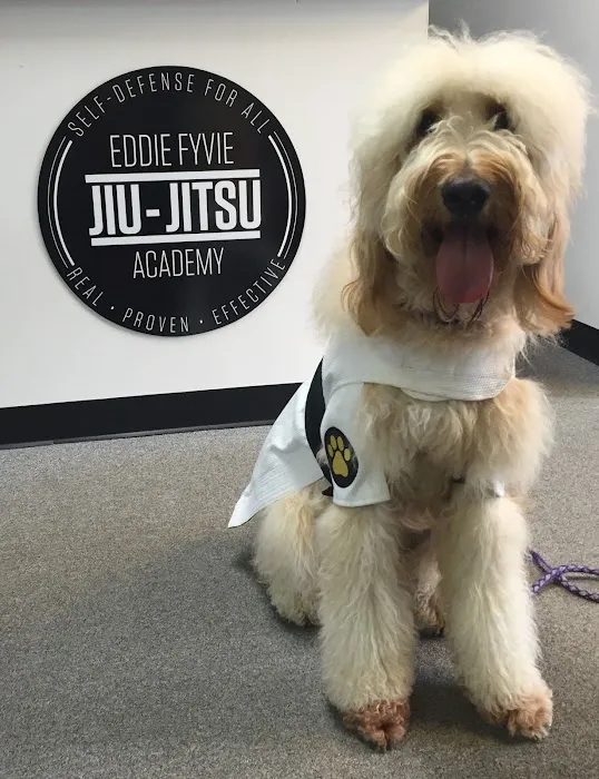 Eddie Fyvie Jiu-Jitsu Academy Picture 9