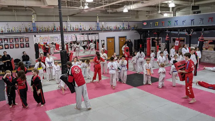 Rising Phoenix Taekwondo Picture 3
