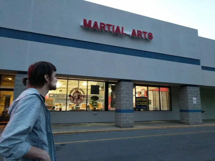 Rising Phoenix Taekwondo Picture 1