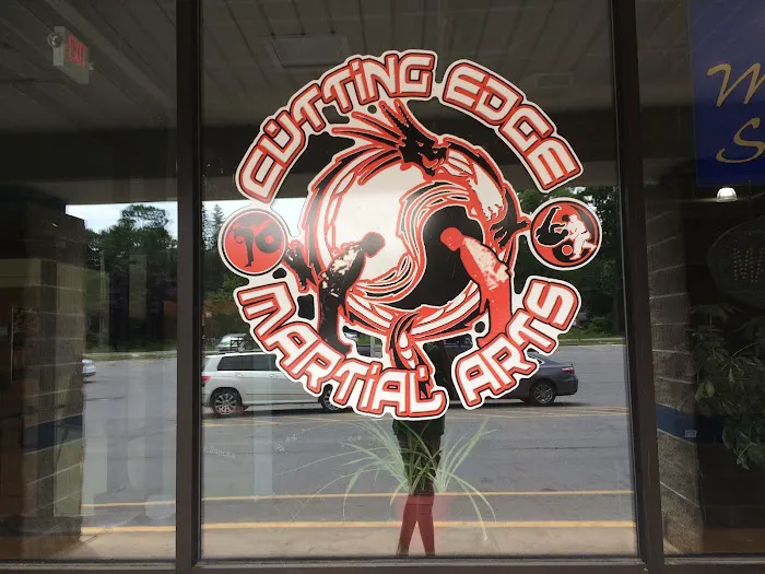 Rising Phoenix Taekwondo Picture 5