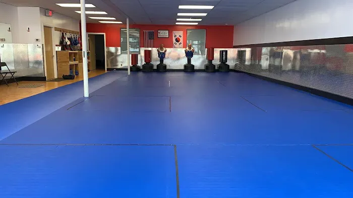 P.R.I.D.E. Taekwondo Picture 2