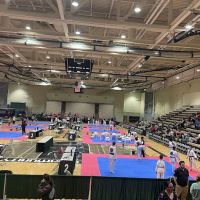 P.R.I.D.E. Taekwondo ico