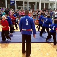 Rising Sun Martial Arts ico