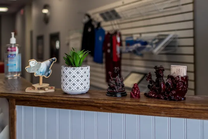 Frank Family Karate Plus Picture 8