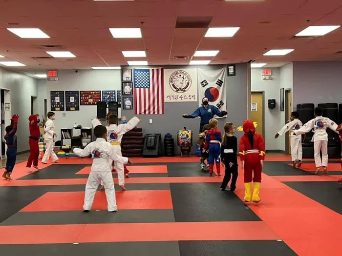 Evolution Karate Academy Picture 4