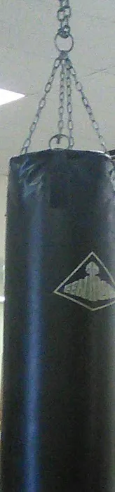 Newark Kenpo Karate Picture 3