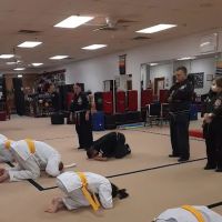 Newark Kenpo Karate ico
