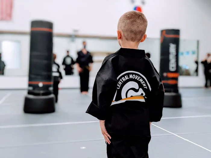 Central Movement - Martial Arts Picture 3