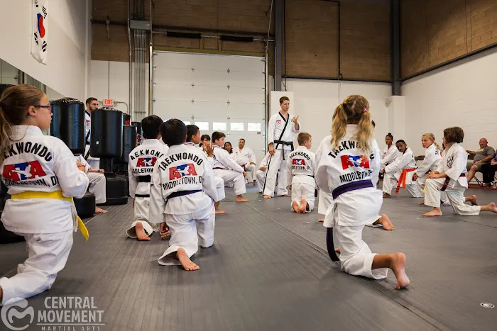 Central Movement - Martial Arts Picture 4