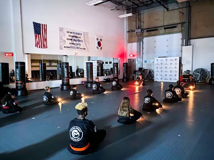 Central Movement - Martial Arts Picture 8