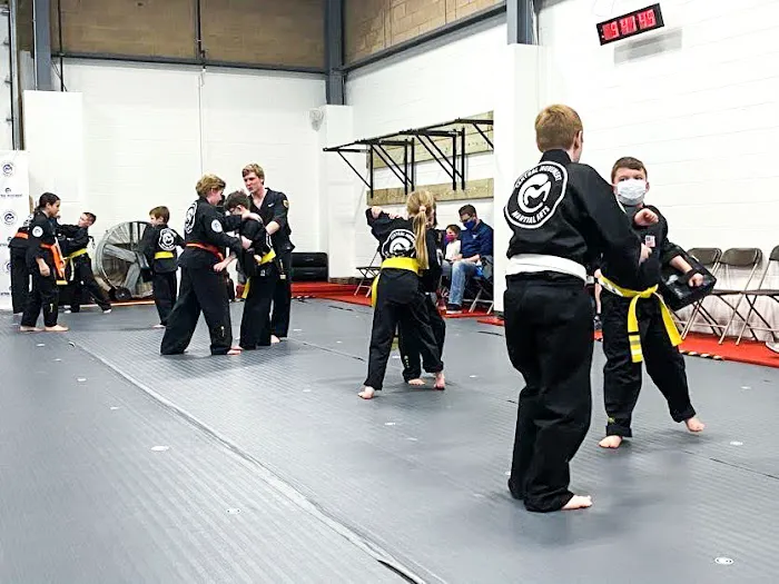 Central Movement - Martial Arts Picture 9