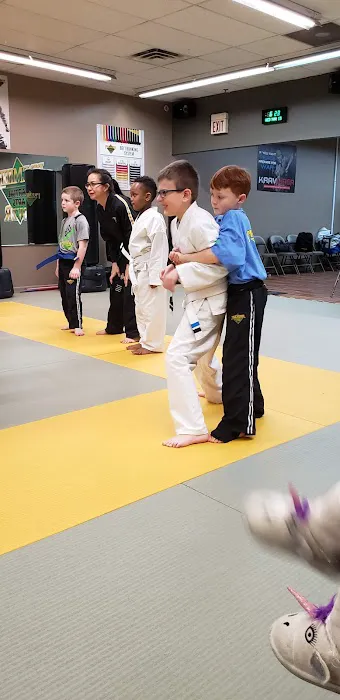 Premier Martial Arts Dover Picture 1