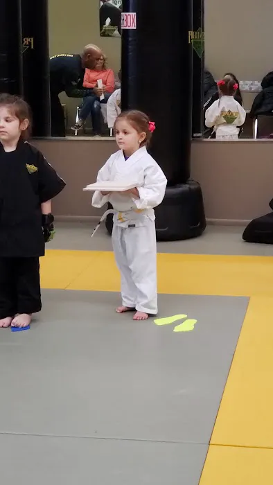 Premier Martial Arts Dover Picture 2