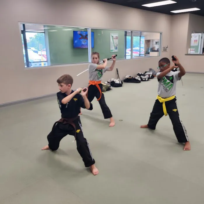 Premier Martial Arts Dover Picture 4