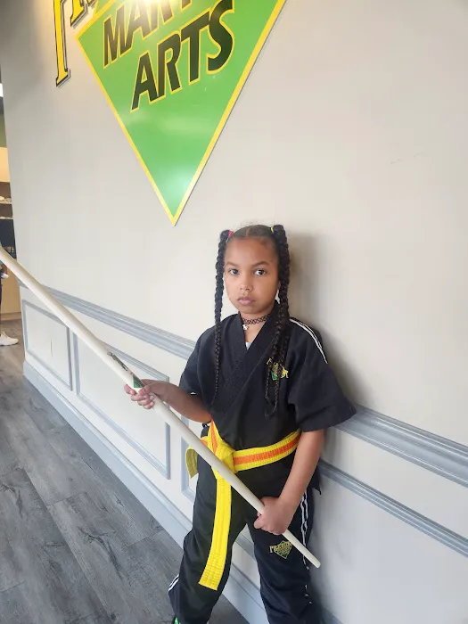 Premier Martial Arts Dover Picture 8