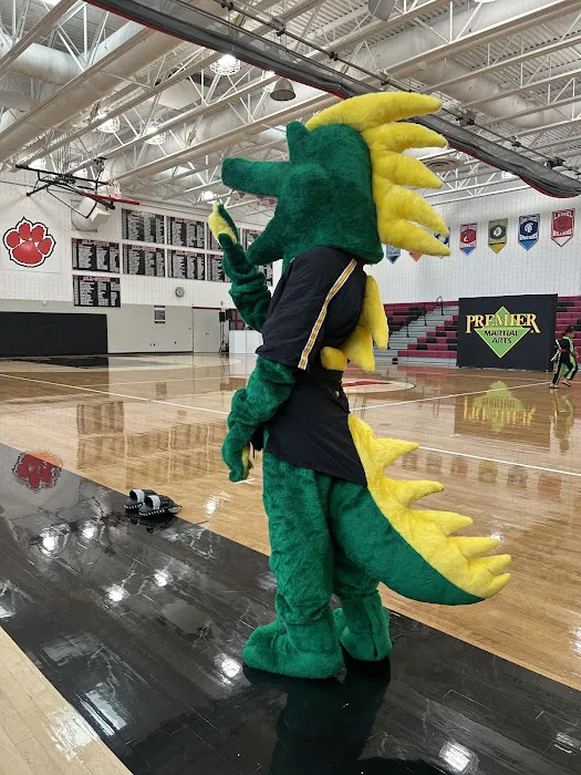 Premier Martial Arts Dover Picture 10